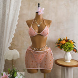 Retro Mesh Sequ Bikini Set