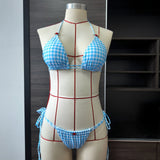 Blue White Plaid Banded Printed Roses Bikini Set