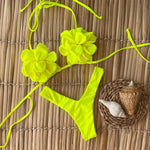 Shelly two piece swimsuit